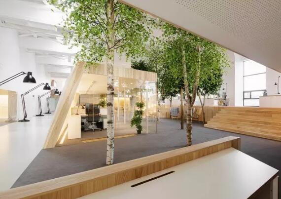 ���������칫�����