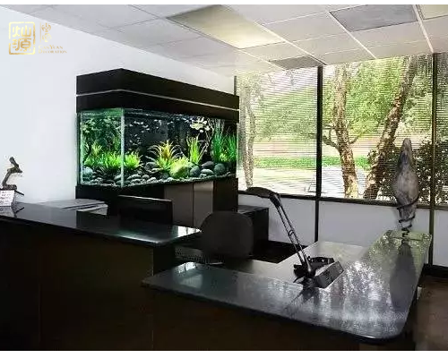 ����װ�޹�˾����Դװ�Ρ�/�칫��װ��Ч��ͼ