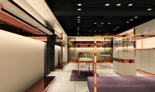 ����չ�����Ч��ͼ