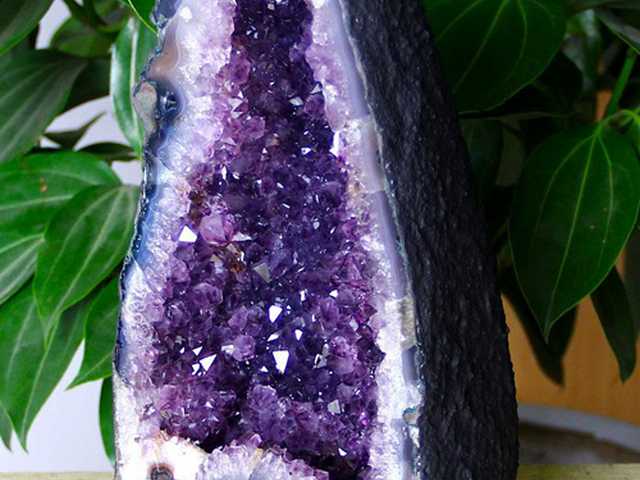 �칫�ռ������������ҵ����Ͳ���